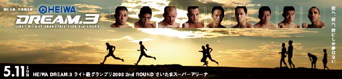 Dream 3 - fight card