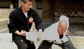 Hapkido seminar George Syrigos - to soboto
